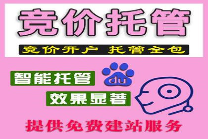 百度广告推广的投放策略与市场分析